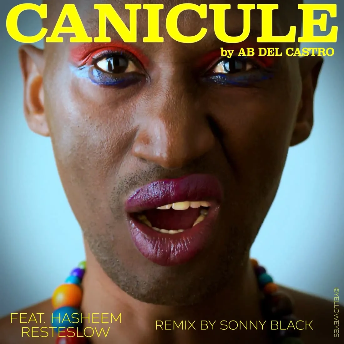 Pochette du single Canicule