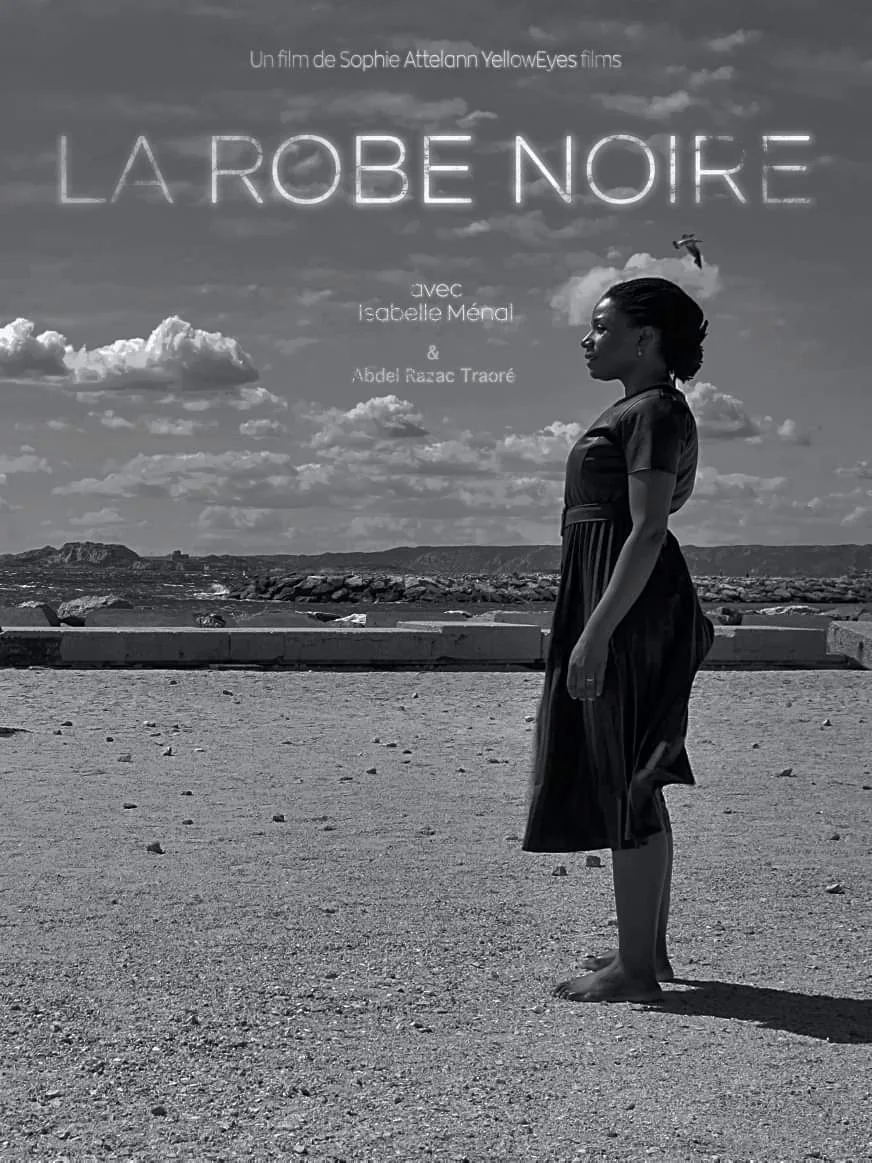 Affiche du film La Robe Noire